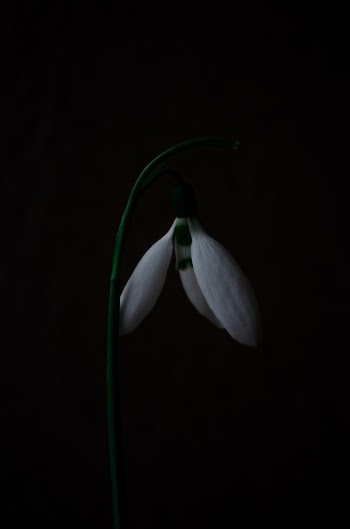 Unsplash ID bHdDd_mhGBM