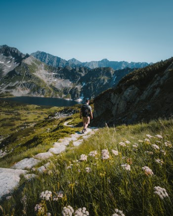 Unsplash ID BIIPa5DYyD8