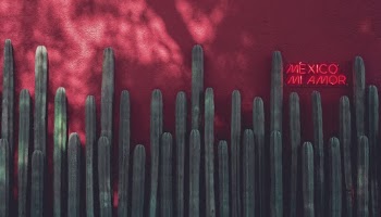 Unsplash ID bM95unm7O5U