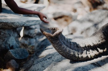 Unsplash ID bN3tt8IbiwE