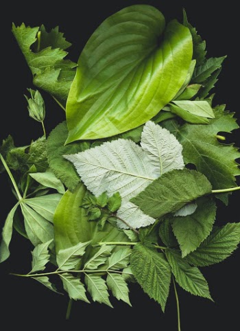 Unsplash ID bnRnYYOOlb0