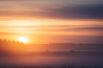 Unsplash ID BO_TnX5UwqU