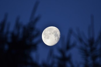 Unsplash ID BO1kjiyMvh4