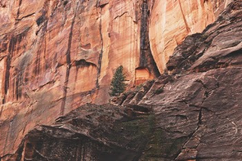 Unsplash ID BO8U-W2PhP4