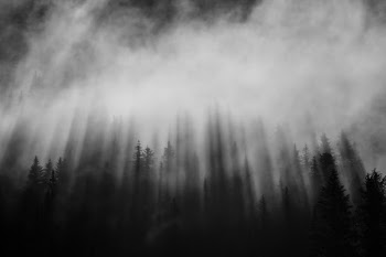 Unsplash ID boCk0rIiOSw