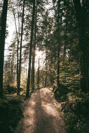 Unsplash ID bokyM3MQ9BA