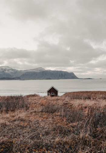 Unsplash ID BOuKBOU6yx4