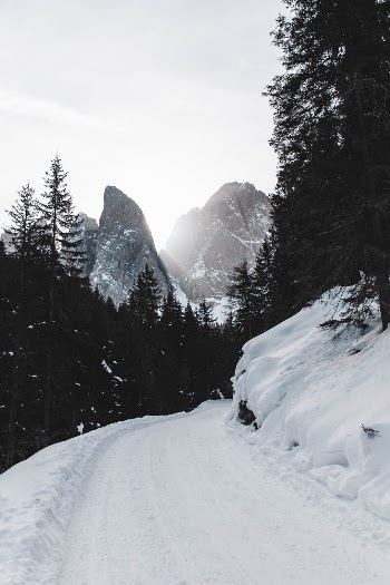 Unsplash ID bOxzqtJOE0Y