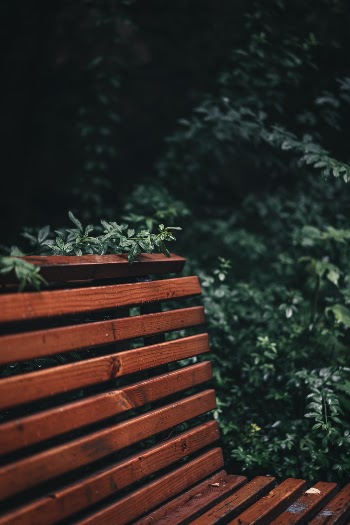 Unsplash ID BoY7LooE1uA