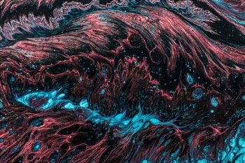 Unsplash ID BP2RioglKXk