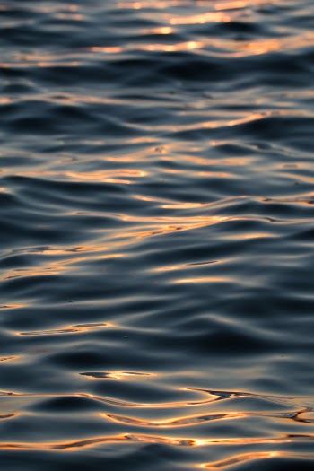 Unsplash ID bRtKGtLeNUY