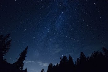Unsplash ID BRV1uuphRzc