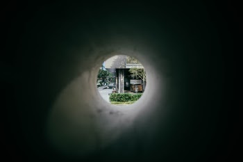 Unsplash ID bS_IpMZzV-E
