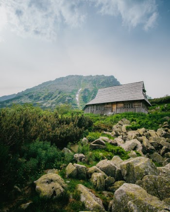 Unsplash ID BSH5kWiJikw