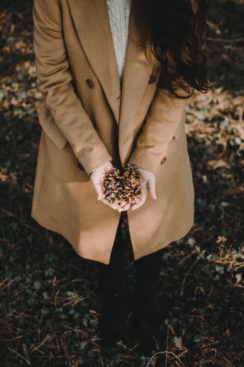 Unsplash ID bTPvxp51nq0