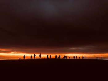 Unsplash ID _bUKlUc1pJ4