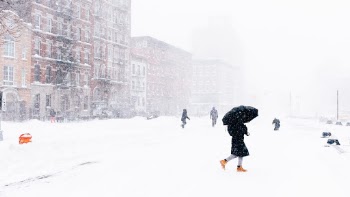 Unsplash ID bUNOr0x8BSA