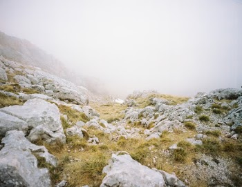 Unsplash ID bUWvEE837wo