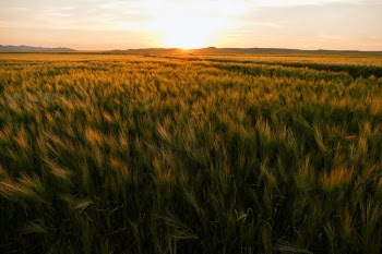Unsplash ID bV_GuWKEdx0
