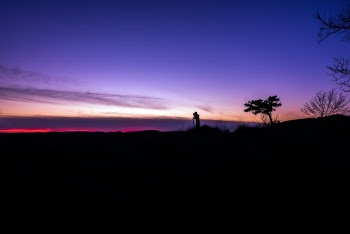 Unsplash ID Bwiwa-qA4Hc