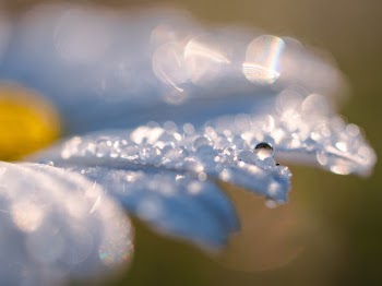Unsplash ID bxtCvM7Ym3A