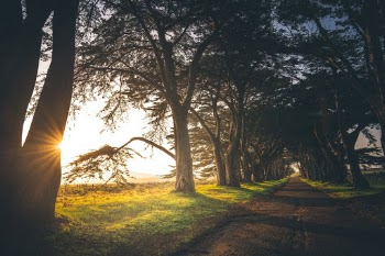Unsplash ID ByNRWkc0Hnc