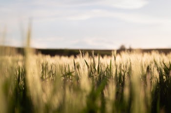 Unsplash ID Byr72vOUx54