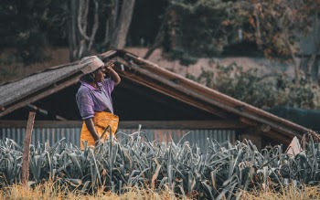 Unsplash ID _bzeQ0xgZcE