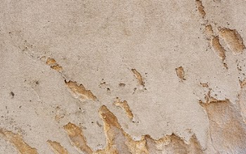 Unsplash ID Bzlt_dIOXsU