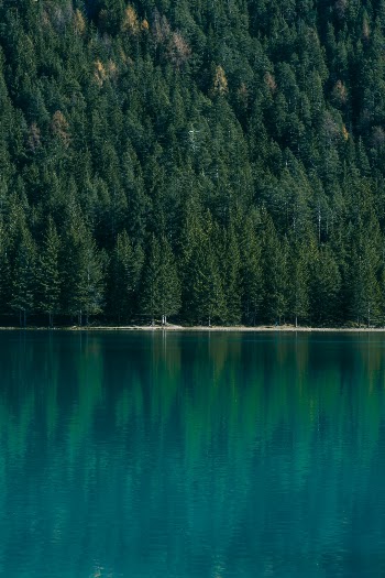 Unsplash ID c_AavN5R6YU