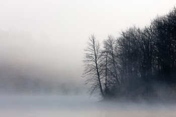 Unsplash ID C-I_w_Z5cG8