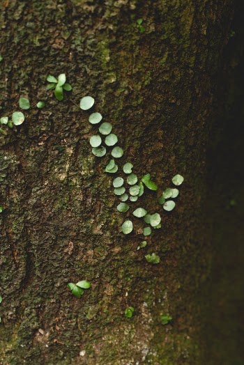 Unsplash ID C6ushDNv4qI