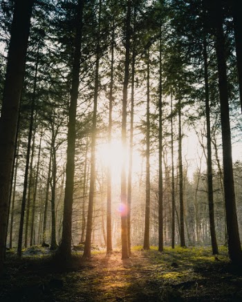 Unsplash ID c8L9O4YZPl0
