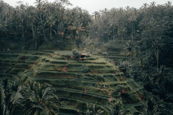 Unsplash ID ca3d4FYDf84