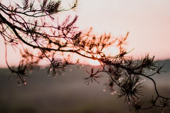 Unsplash ID cAAEBTlZdcA