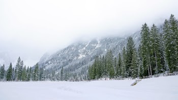Unsplash ID CbO4HO6IkcU