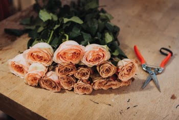 Unsplash ID cC2mROq0Vo0