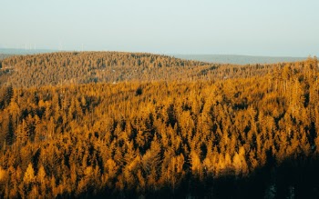 Unsplash ID Ce8pjlB1Hfs