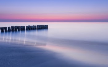Unsplash ID CFaOg5f6vXQ