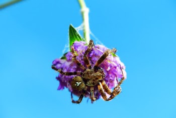 Unsplash ID CfbateTmxGk
