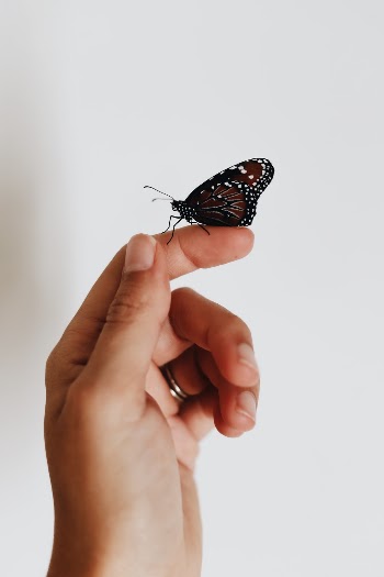 Unsplash ID cFIrOY6fqNY