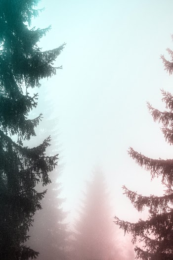 Unsplash ID cfRS48bHcUY