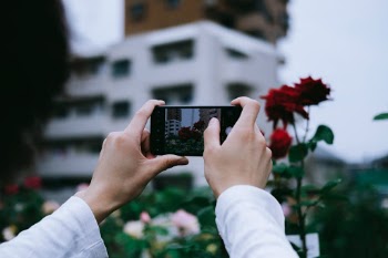 Unsplash ID CG1qIr7RiKQ