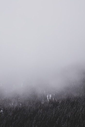 Unsplash ID Cg3CA4zVQe8