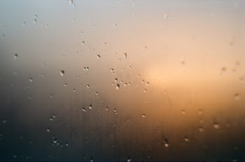 Unsplash ID ChaWW-g4O1s