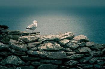 Unsplash ID cIwii1wke-g