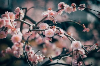 Unsplash ID CJv0Csuw6GU