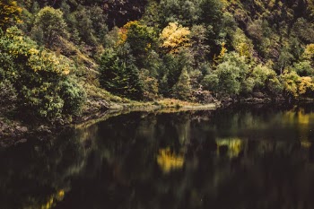Unsplash ID CKW2l9Yuij4