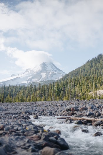 Unsplash ID cL0d0UnMJ6Y