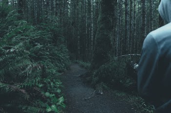 Unsplash ID cM-ZZlkRQQs